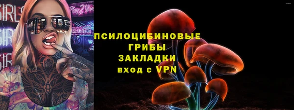 шишки Беломорск