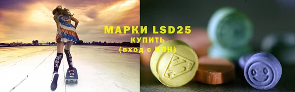 ГАЛЛЮЦИНОГЕННЫЕ ГРИБЫ Балахна