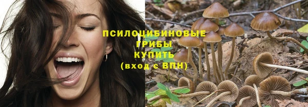 дурь Белоозёрский