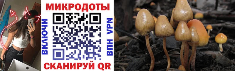 Галлюциногенные грибы мицелий  хочу   Енисейск 