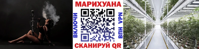 Бошки марихуана семена  Енисейск 